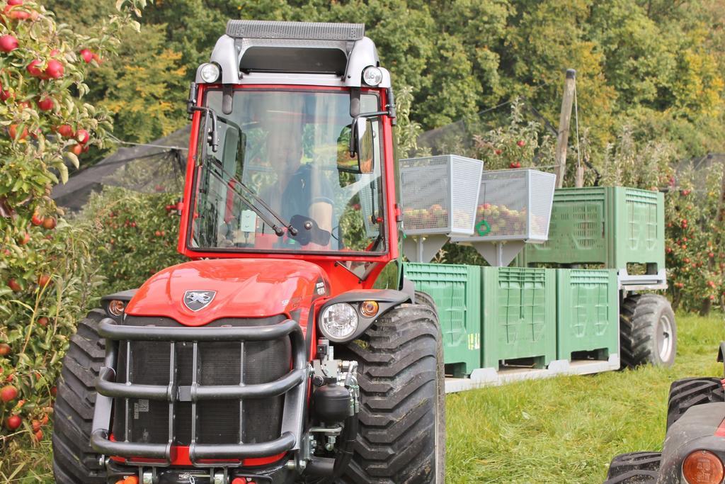 Obst & Gastehof Brandl Farm stay